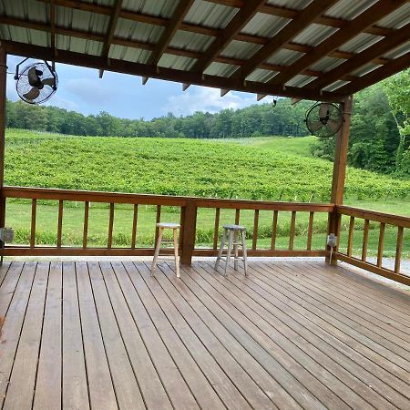 Eagle Mountain River Retreat Ellijay Kültér fotó